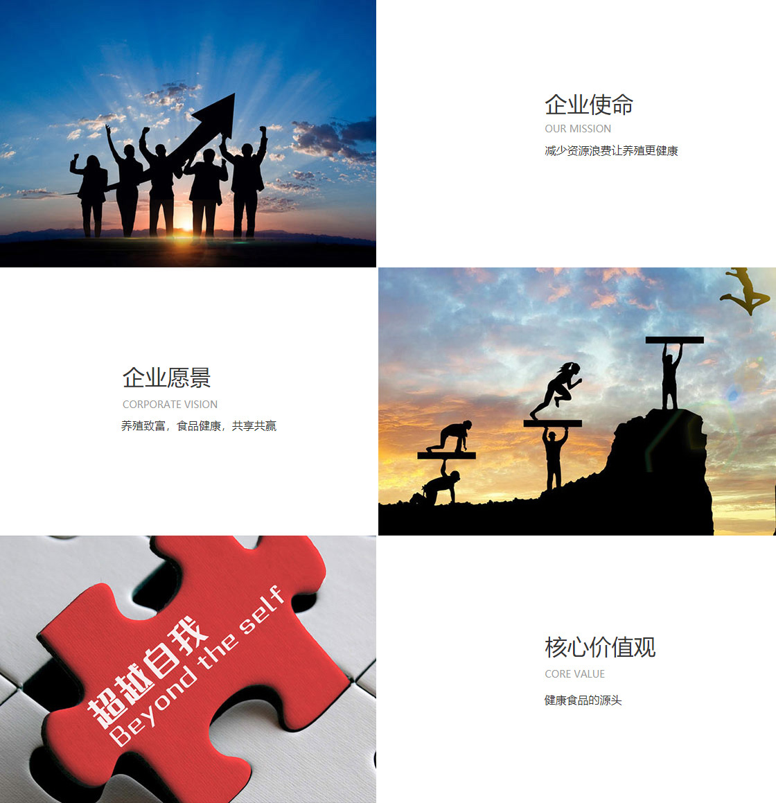 jrs直播(无插件)(图1)